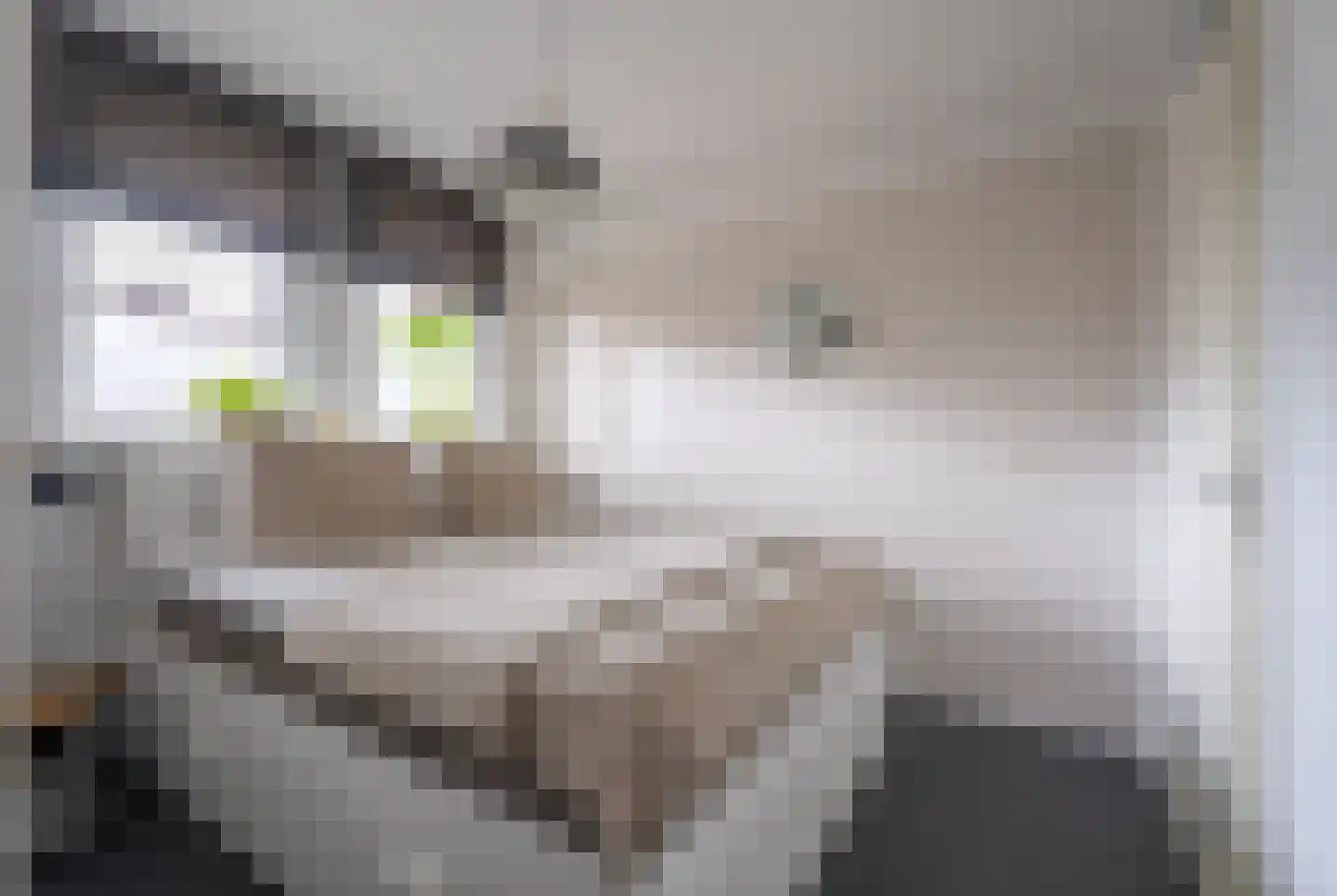 Sweelincklaan 37 Rhoon thumbnail 12