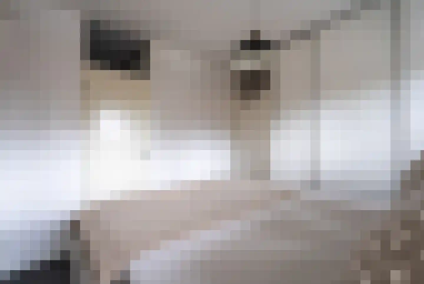 Sweelincklaan 37 Rhoon thumbnail 13