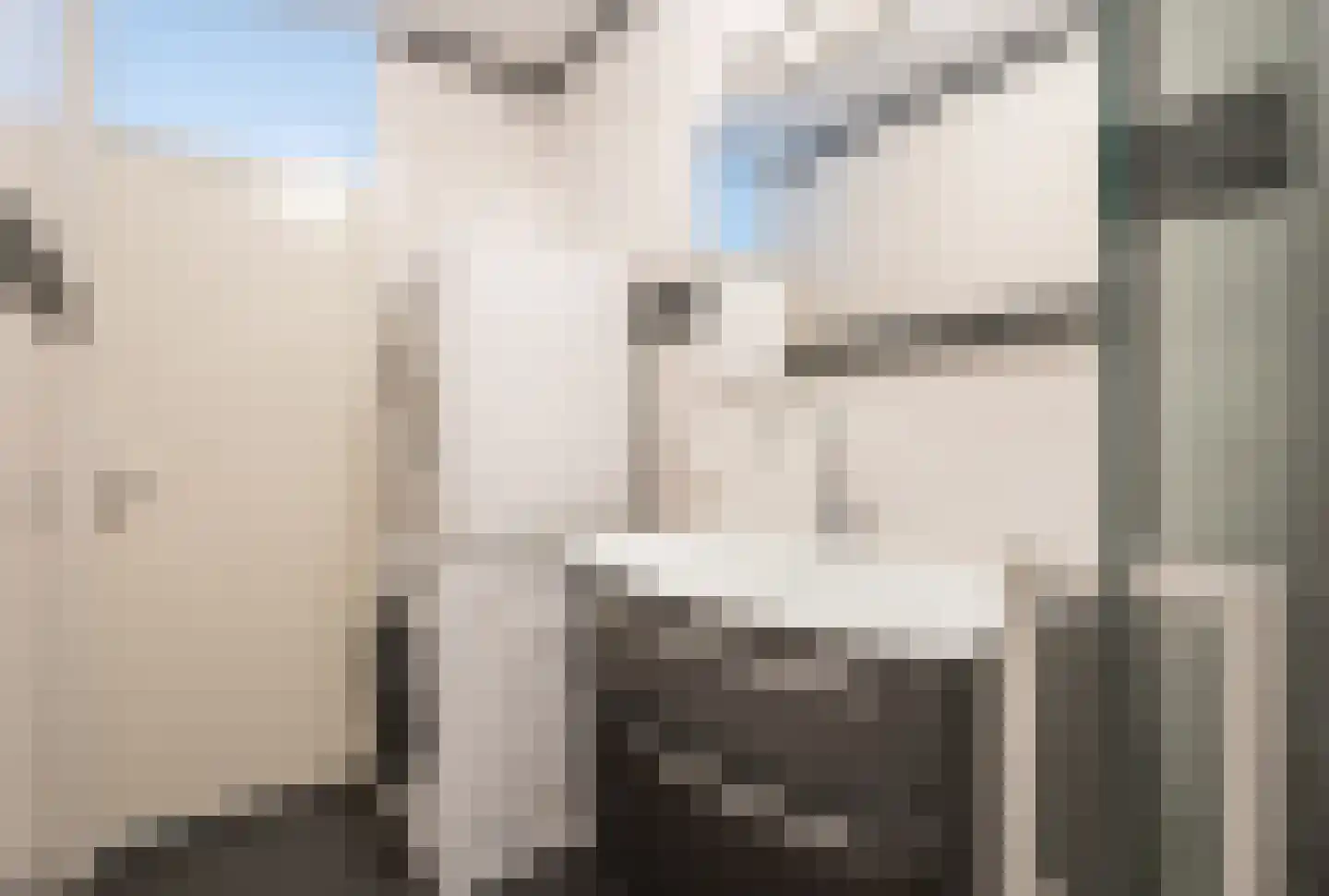 Sweelincklaan 37 Rhoon thumbnail 14