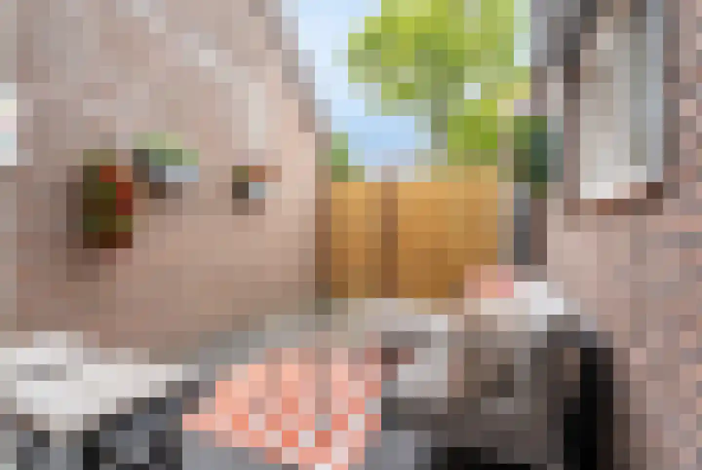 Sweelincklaan 37 Rhoon thumbnail 20