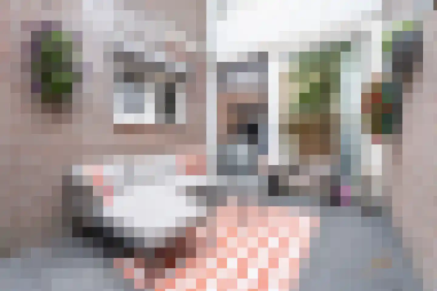 Sweelincklaan 37 Rhoon thumbnail 5