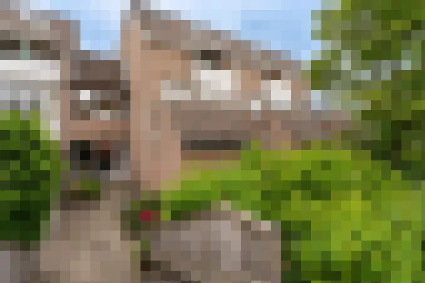 Sweelincklaan 37 Rhoon thumbnail 7