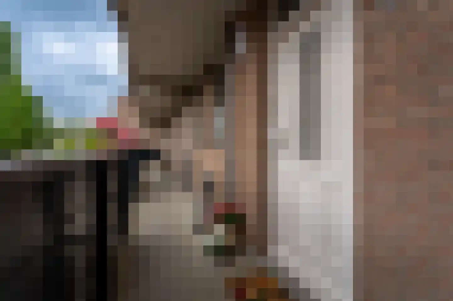 Sweelincklaan 37 Rhoon thumbnail 9