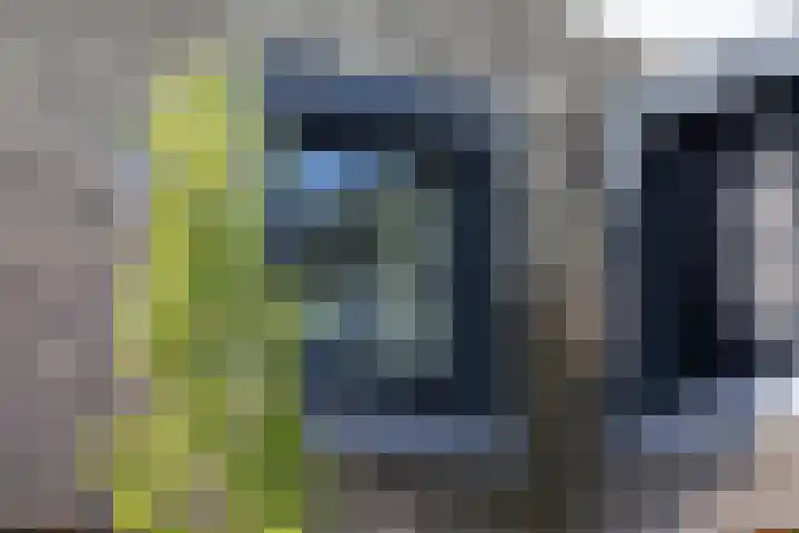 Sweelincklaan 37 Rotterdam thumbnail 10