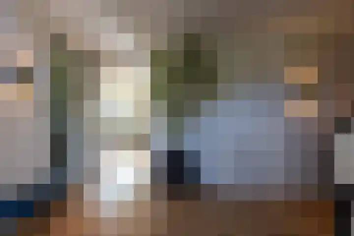 Sweelincklaan 37 Rotterdam thumbnail 12