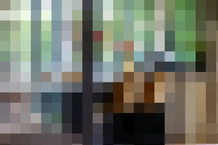 Sweelincklaan 37 Rotterdam thumbnail 14