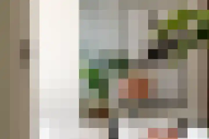 Sweelincklaan 37 Rotterdam thumbnail 20