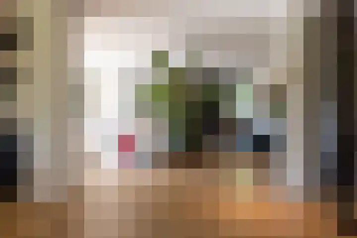 Sweelincklaan 37 Rotterdam thumbnail 21