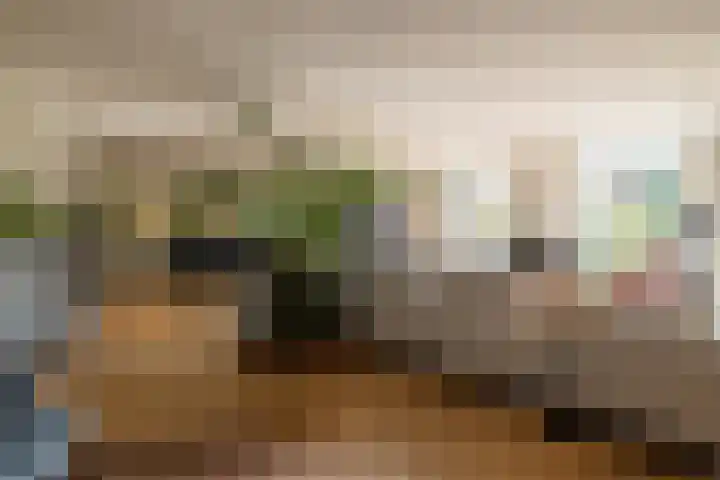 Sweelincklaan 37 Rotterdam thumbnail 24