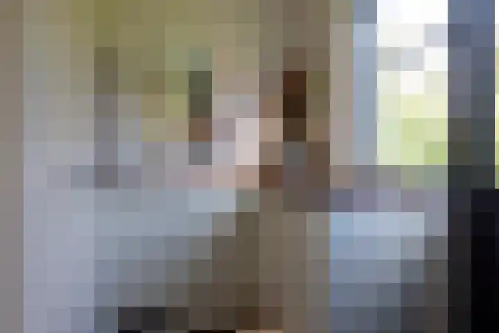 Sweelincklaan 37 Rotterdam thumbnail 28