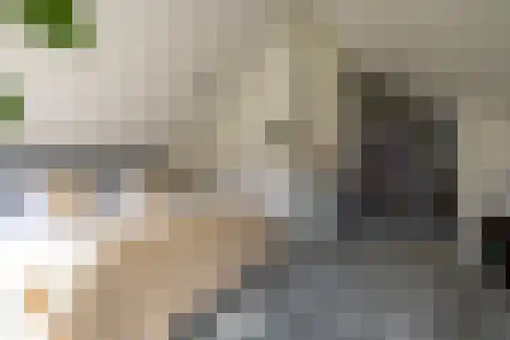 Sweelincklaan 37 Rotterdam thumbnail 32