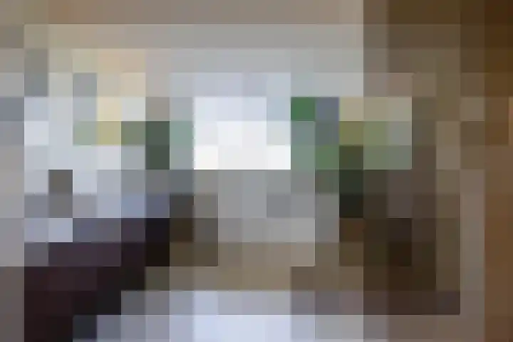 Sweelincklaan 37 Rotterdam thumbnail 34