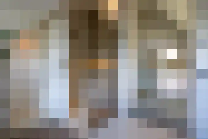 Sweelincklaan 37 Rotterdam thumbnail 36