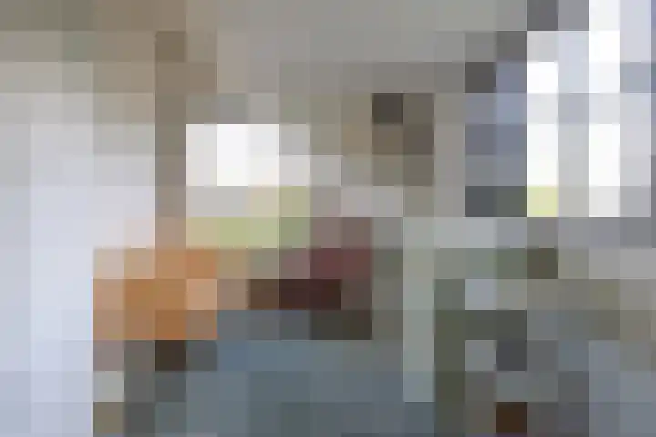 Sweelincklaan 37 Rotterdam thumbnail 38