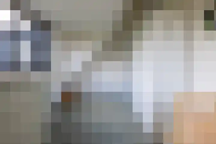 Sweelincklaan 37 Rotterdam thumbnail 39
