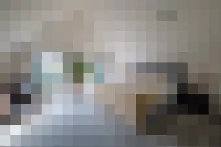 Sweelincklaan 37 Rotterdam thumbnail 4