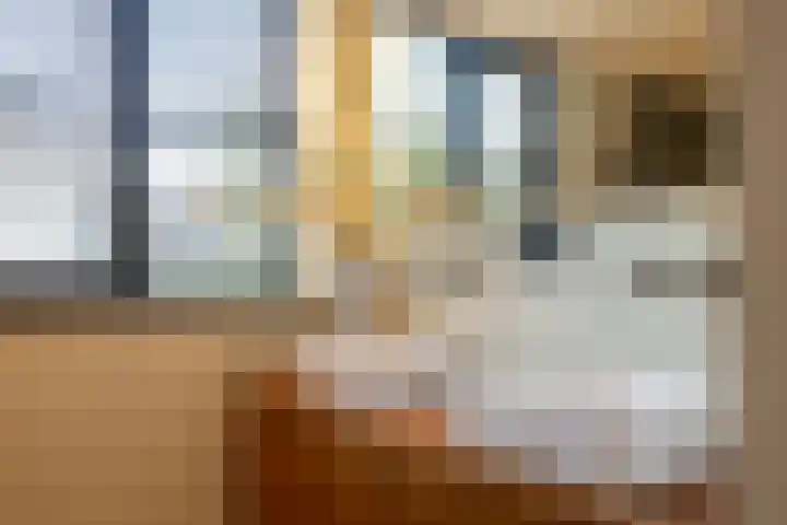 Sweelincklaan 37 Rotterdam thumbnail 47