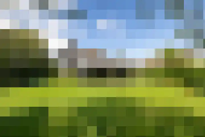 Sweelincklaan 37 Rotterdam thumbnail 5