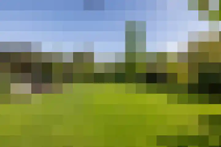 Sweelincklaan 37 Rotterdam thumbnail 52