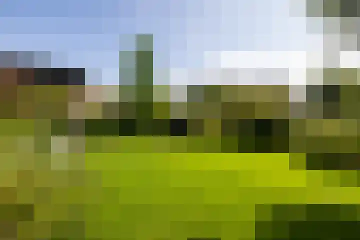 Sweelincklaan 37 Rotterdam thumbnail 53
