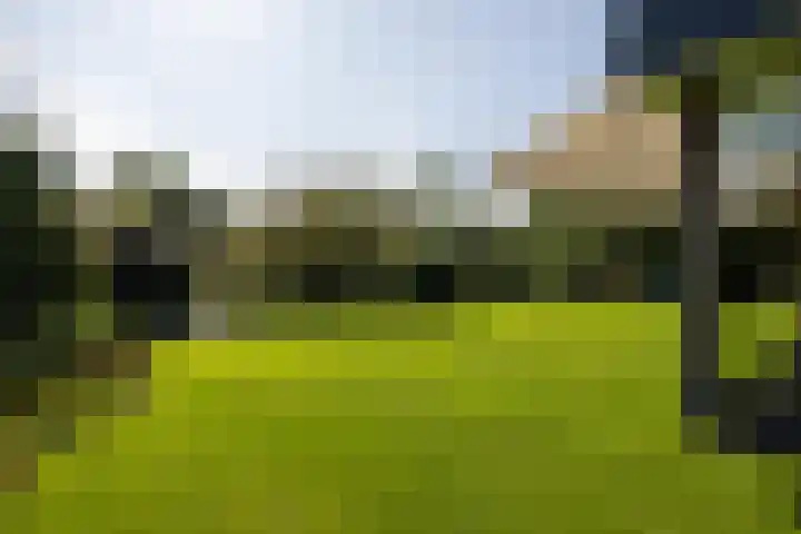 Sweelincklaan 37 Rotterdam thumbnail 54