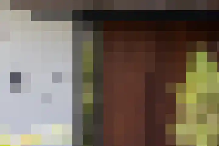 Sweelincklaan 37 Rotterdam thumbnail 6