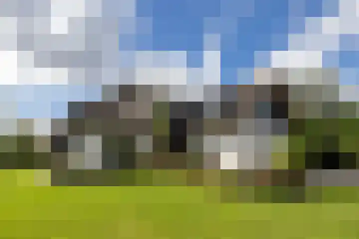 Sweelincklaan 37 Rotterdam thumbnail 61