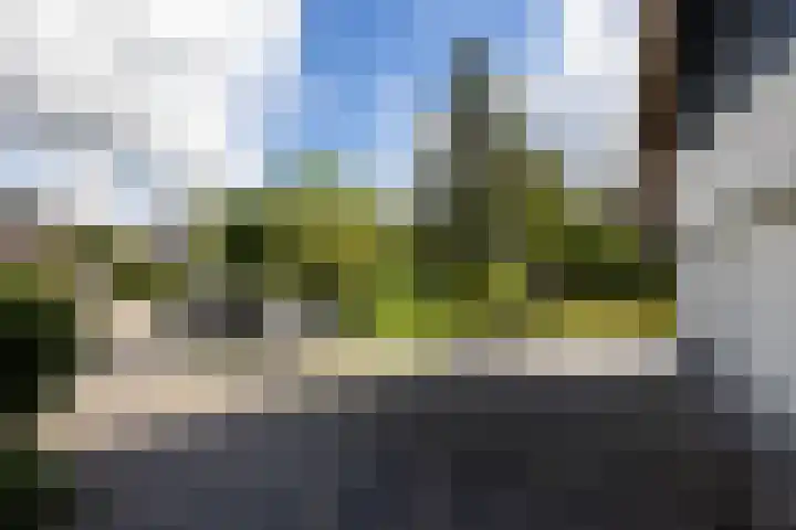 Sweelincklaan 37 Rotterdam thumbnail 7