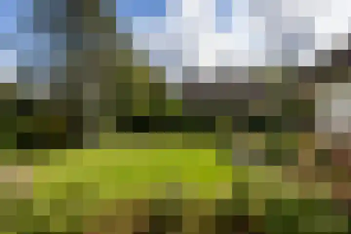 Sweelincklaan 37 Rotterdam thumbnail 8