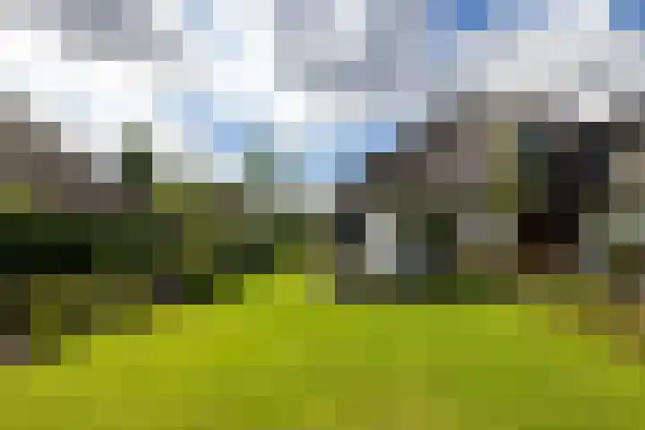 Sweelincklaan 37 Rotterdam thumbnail 9