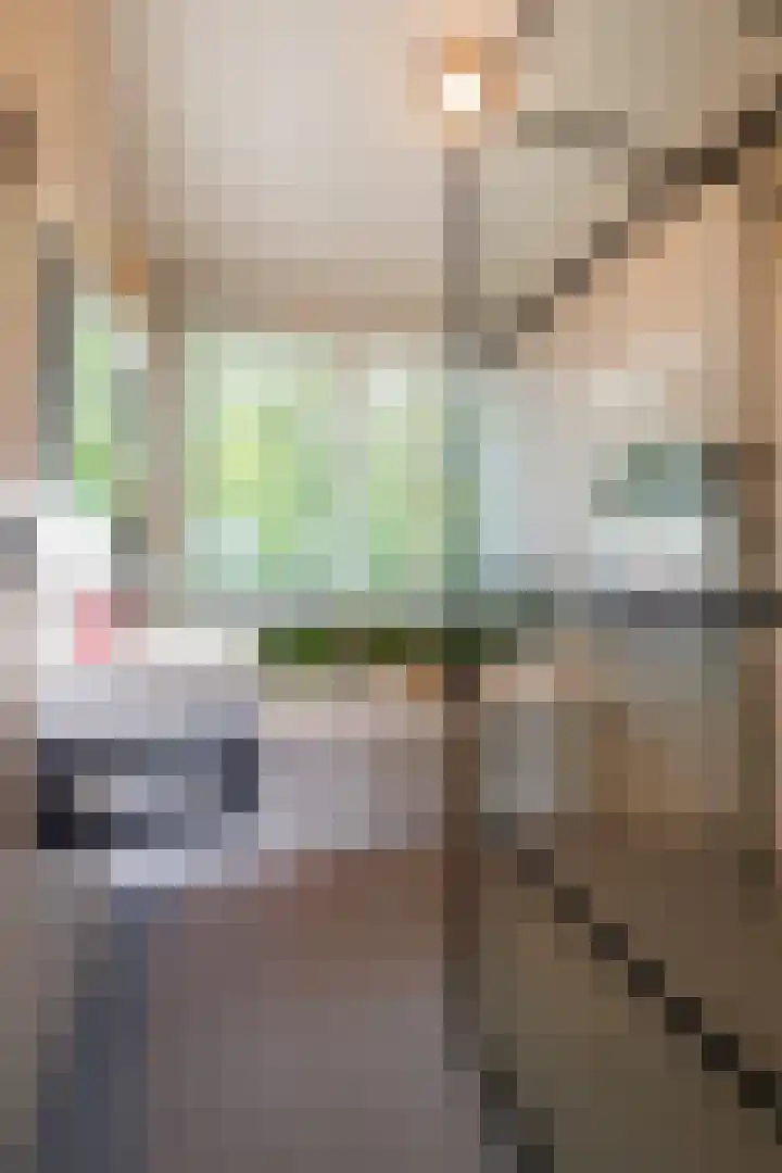 Sweelincklaan 39 Ede thumbnail 19