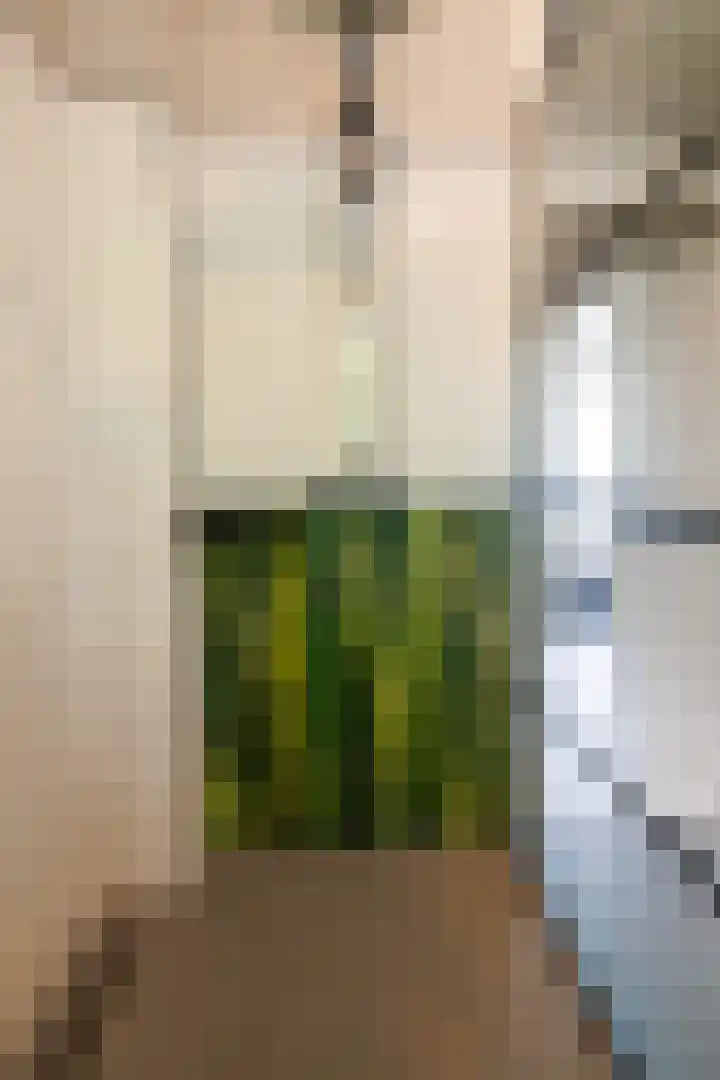 Sweelincklaan 39 Ede thumbnail 20