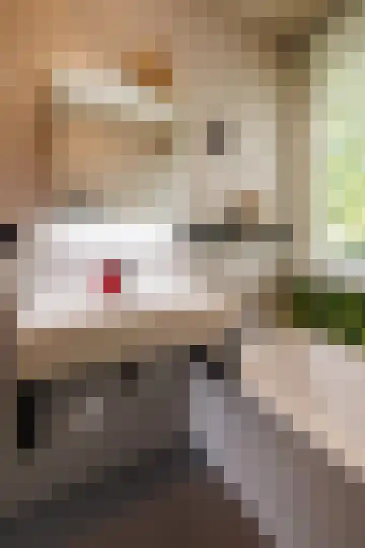 Sweelincklaan 39 Ede thumbnail 21