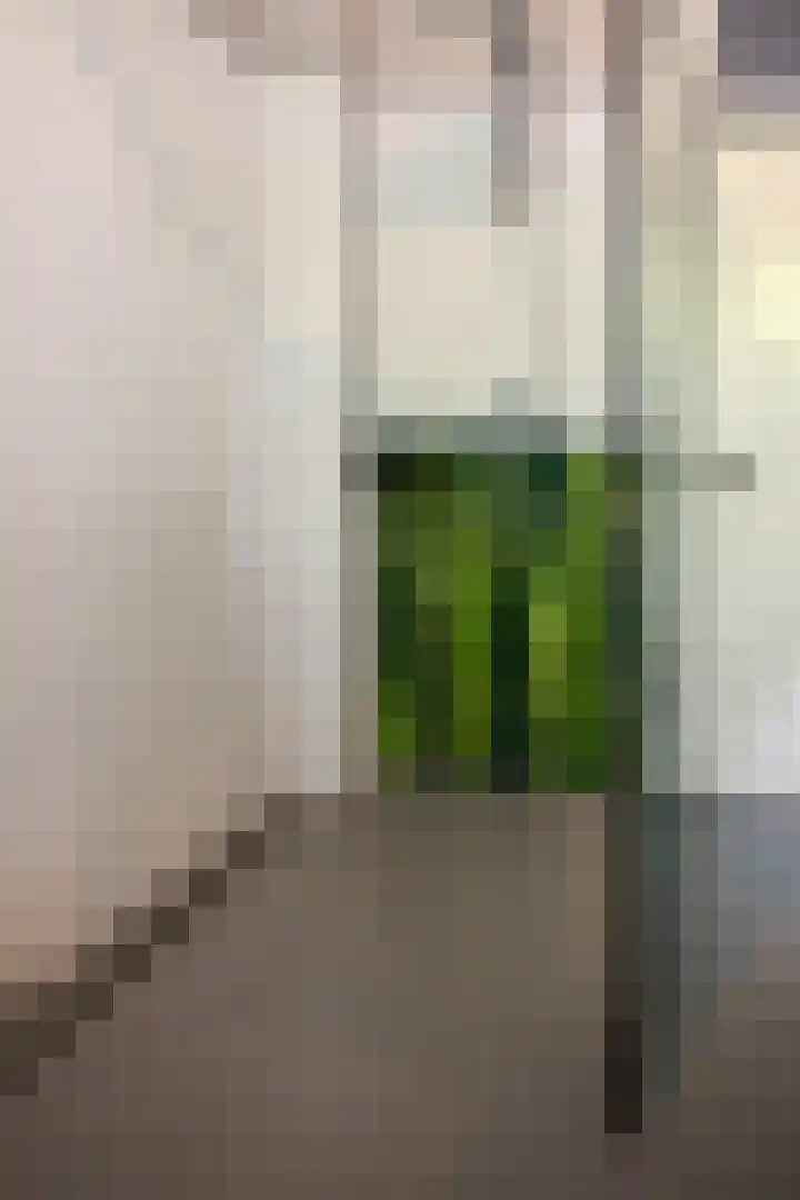 Sweelincklaan 39 Ede thumbnail 22