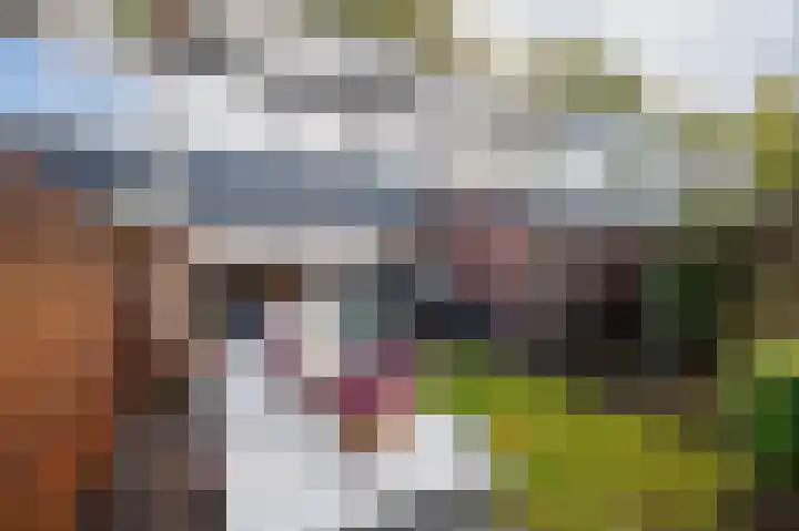 Sweelincklaan 39 Ede thumbnail 28