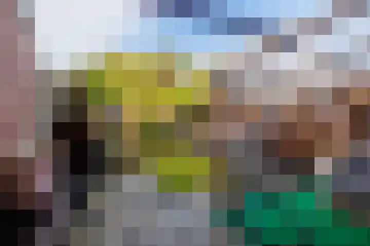 Sweelincklaan 39 Ede thumbnail 29