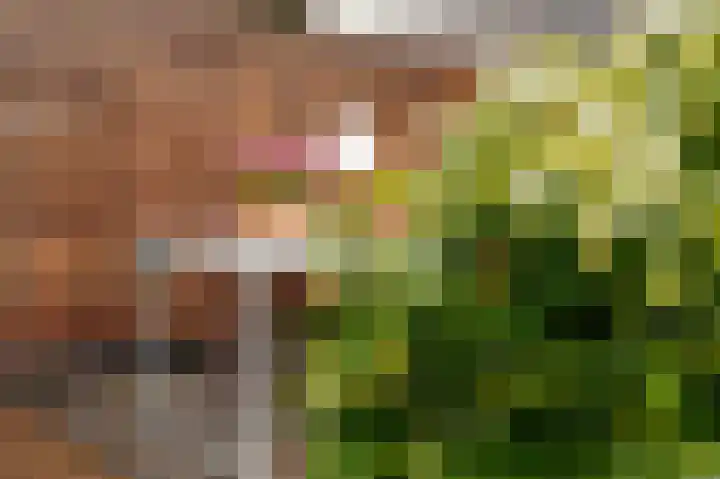 Sweelincklaan 39 Ede thumbnail 31