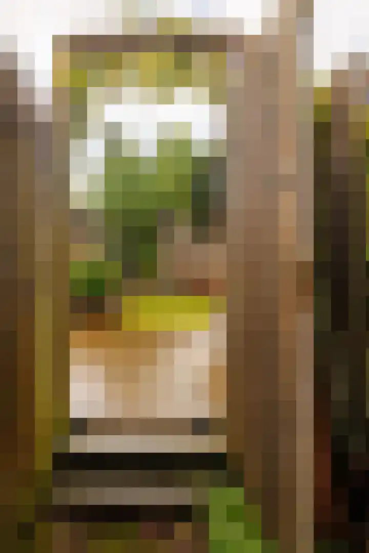Sweelincklaan 39 Ede thumbnail 32
