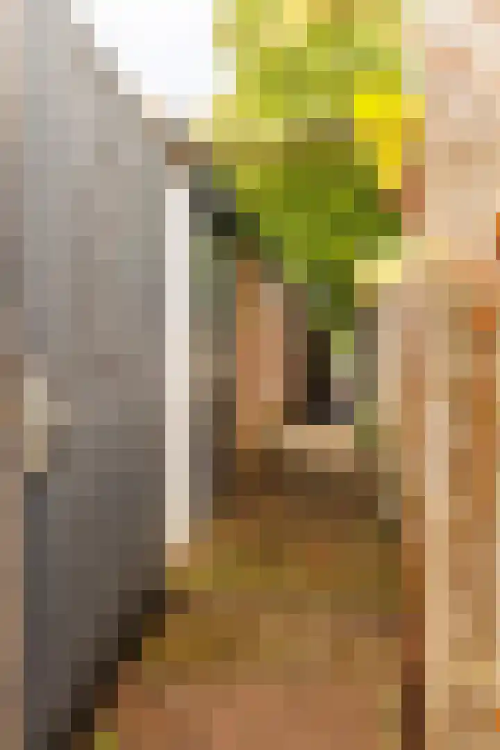 Sweelincklaan 39 Ede thumbnail 33