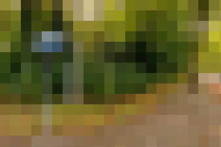 Sweelincklaan 39 Ede thumbnail 39