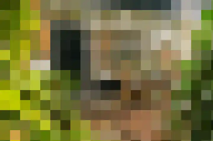 Sweelincklaan 39 Ede thumbnail 5