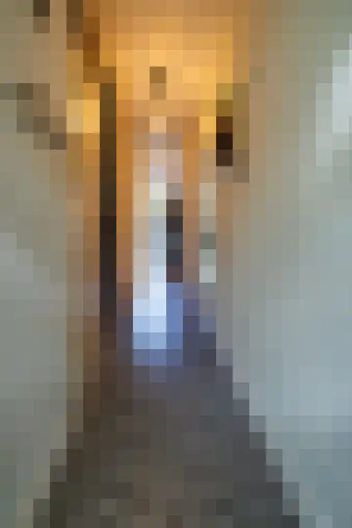 Sweelincklaan 39 Ede thumbnail 6