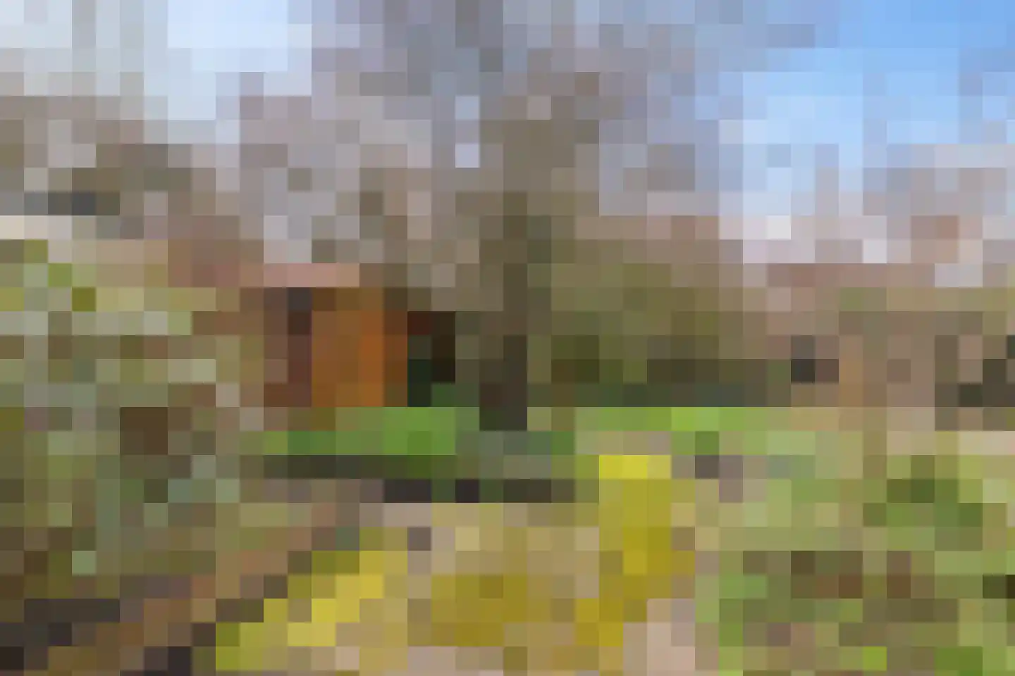 Sweelincklaan 41 Groningen thumbnail 19