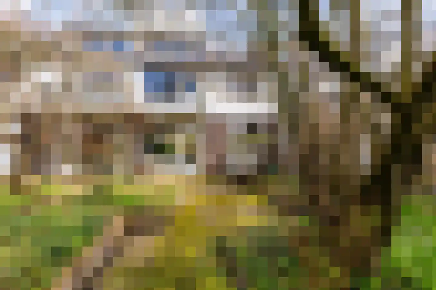 Sweelincklaan 41 Groningen thumbnail 20