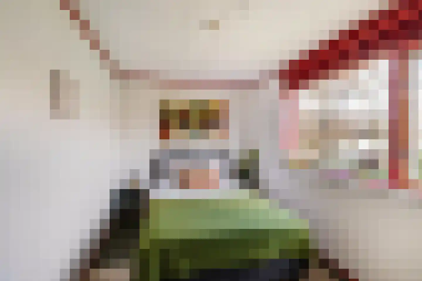 Sweelincklaan 41 Groningen thumbnail 25