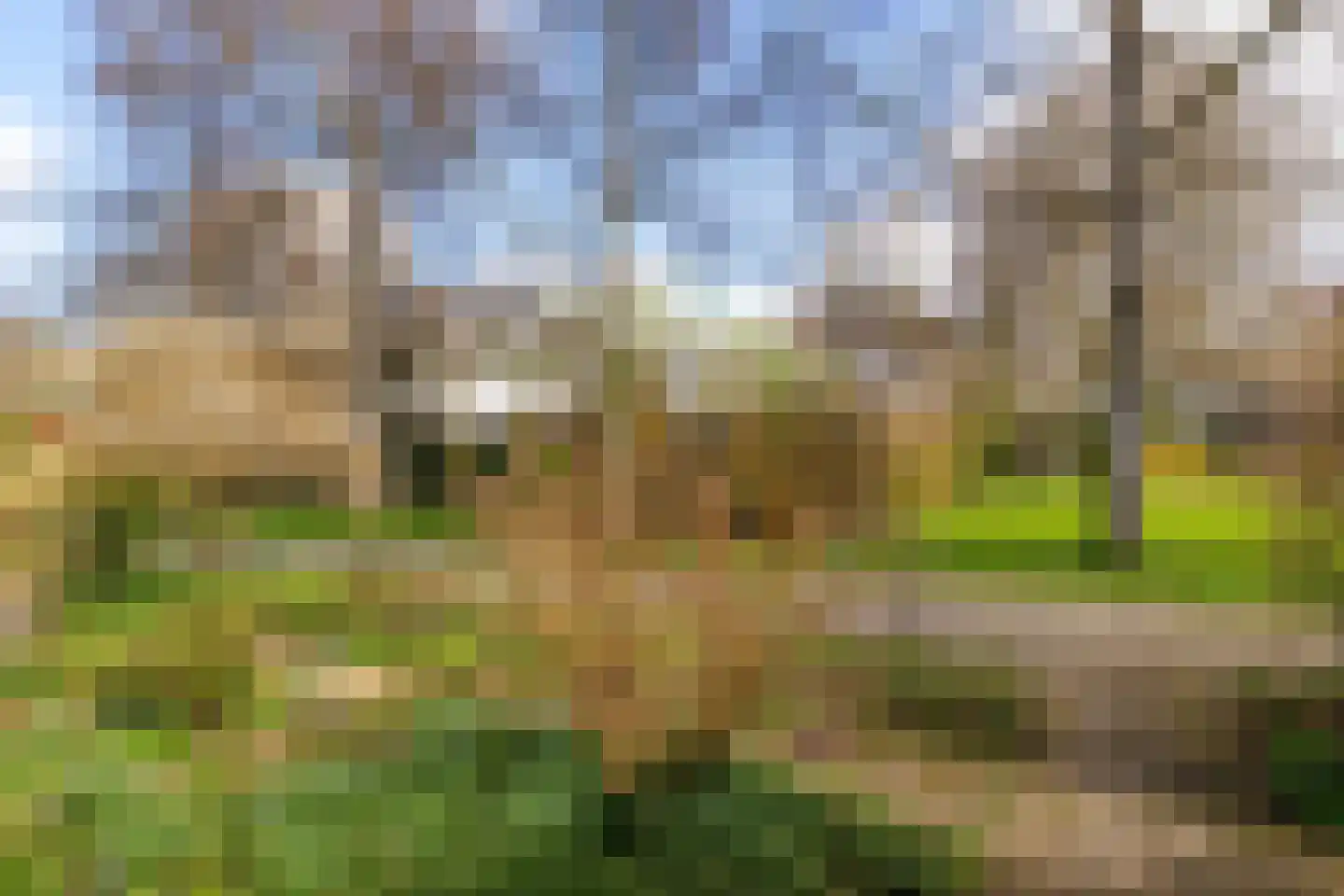 Sweelincklaan 41 Groningen thumbnail 30