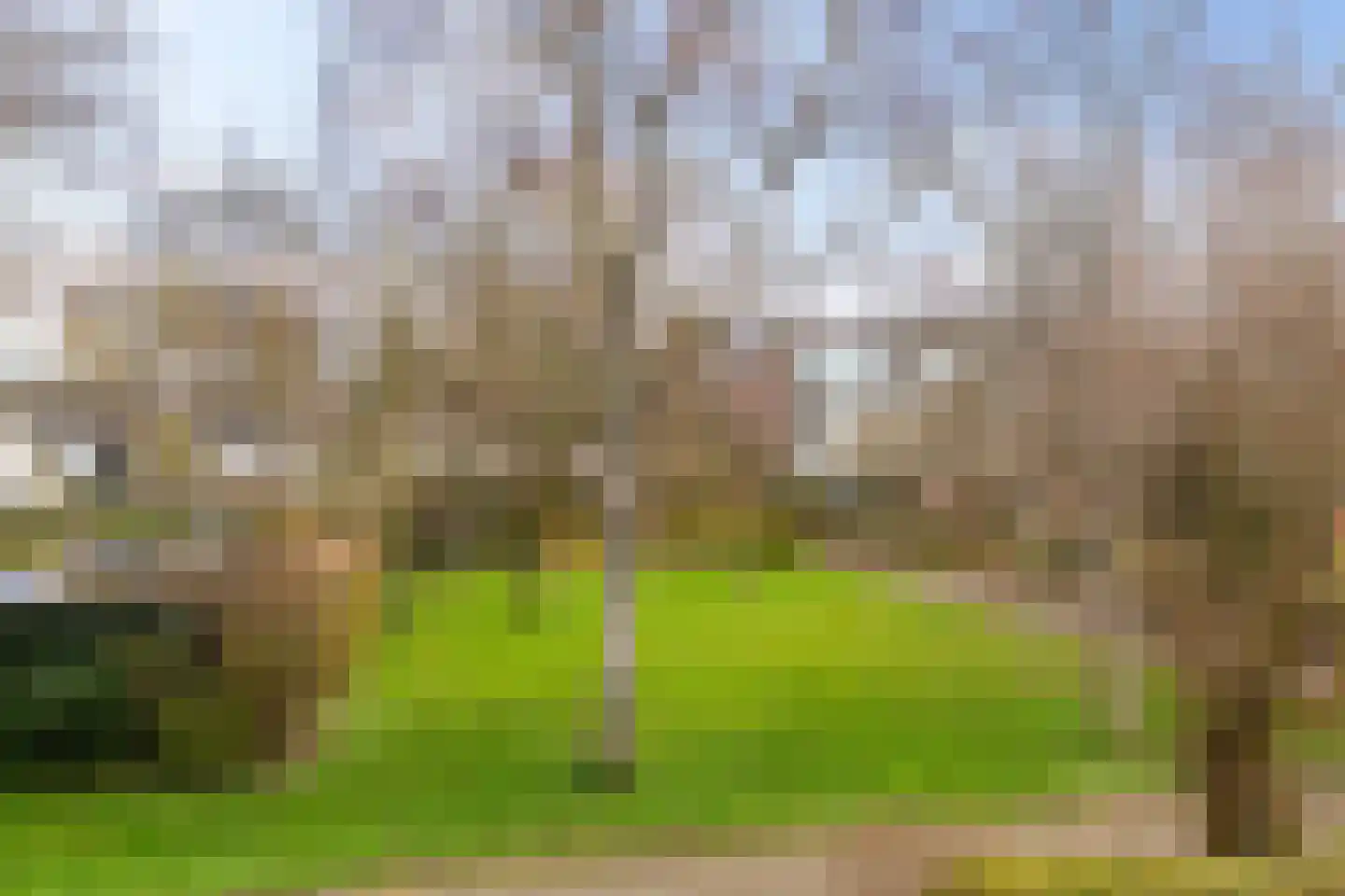 Sweelincklaan 41 Groningen thumbnail 31