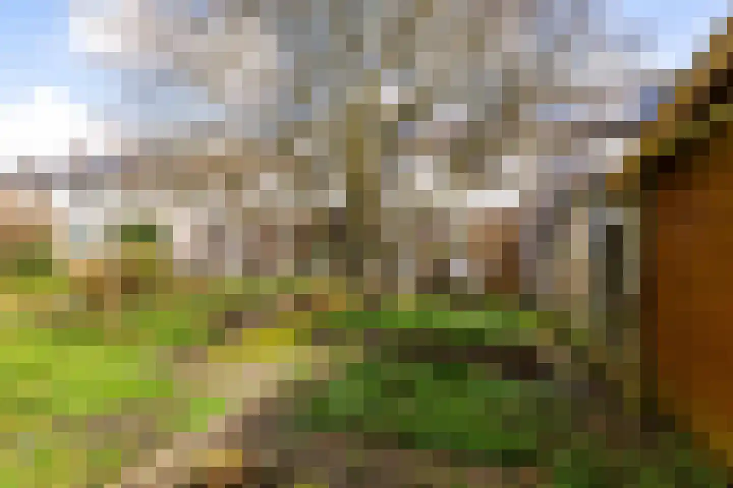 Sweelincklaan 41 Groningen thumbnail 4