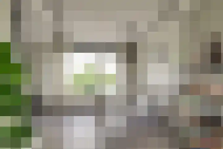 Sweelincklaan 47 Leiden thumbnail 10