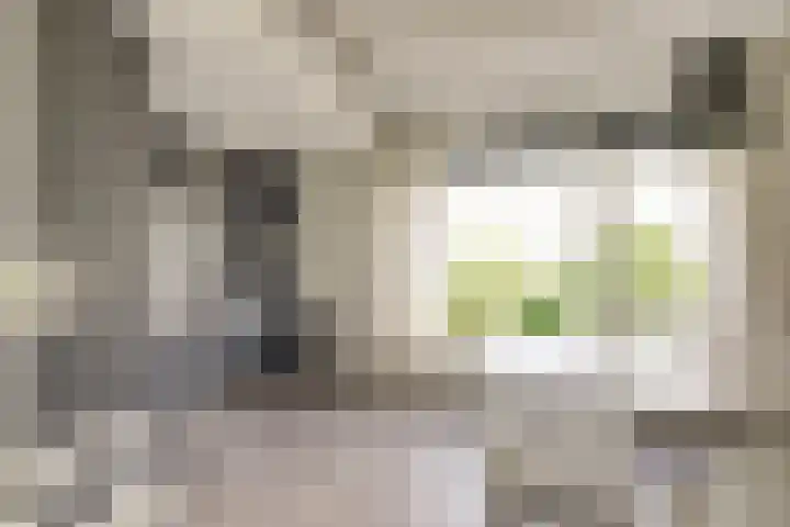 Sweelincklaan 47 Leiden thumbnail 11